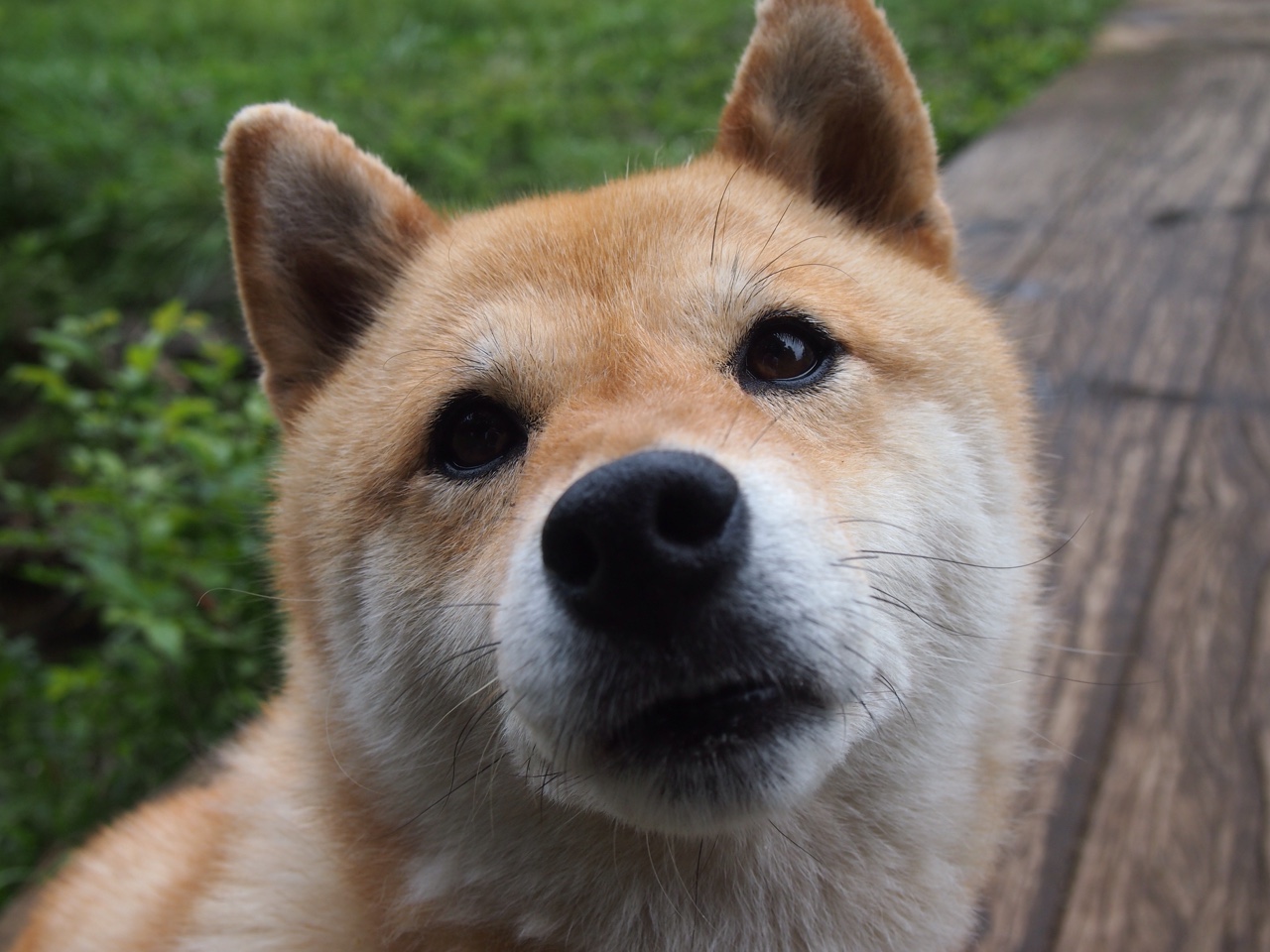 九游娱乐官方平台-五大联赛是否重视通过前场横移调动后防空档，五大联赛场地大小