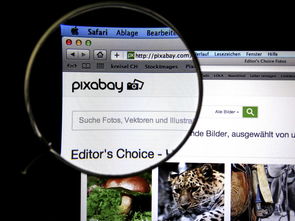 九游下载电脑版官网-体育新闻中心发布体育短视频传播效果白皮书，体育短视频成为平台和用户的新宠