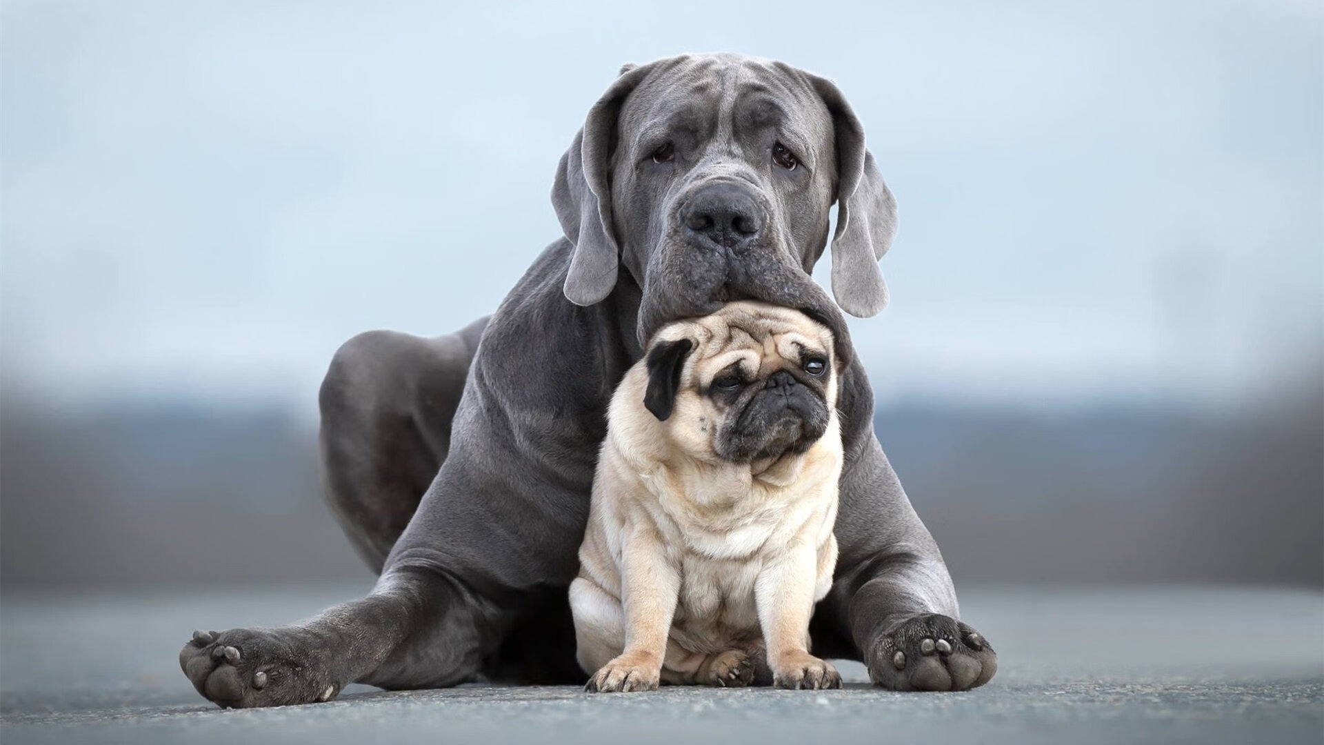 体育新闻中心推动体育新媒体内容融合发展，体育新媒体有哪些