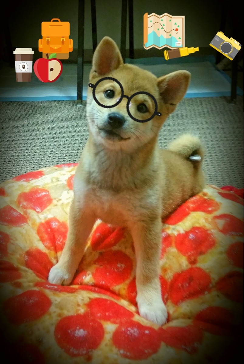 九游网-青训体系与职业联赛衔接不畅，青训队和职业队的区别