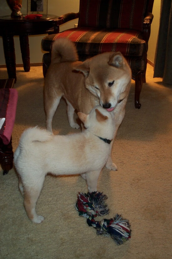 中国足球联赛制定球员社会形象评价标准，足球人员