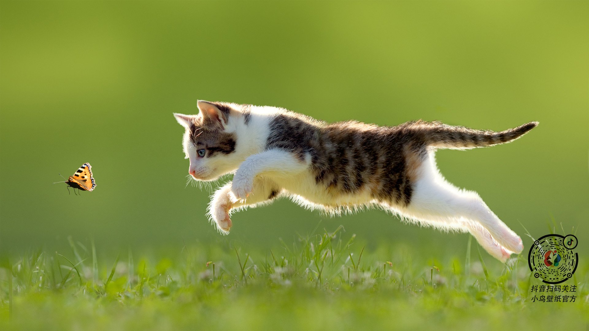 体育法律知识普及月活动走进基层社区,体育法宣传标语